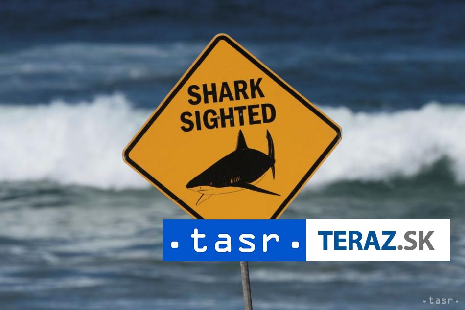 Australia po utoku zraloka nasadila drony a vrtulnik