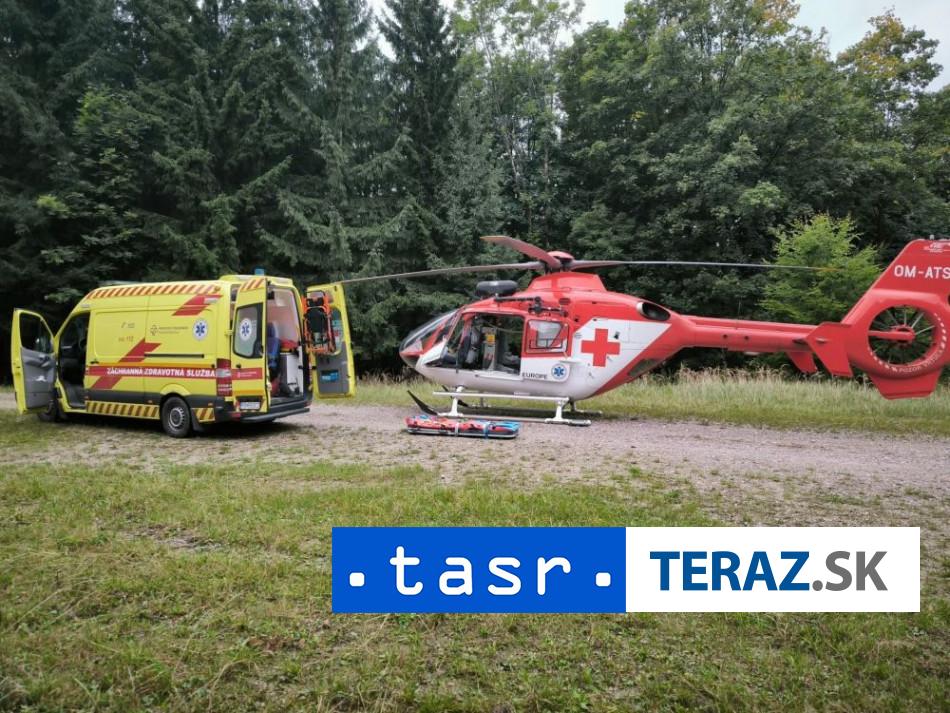 DRAMA V LESE Zachranari muza uvedli do spanku