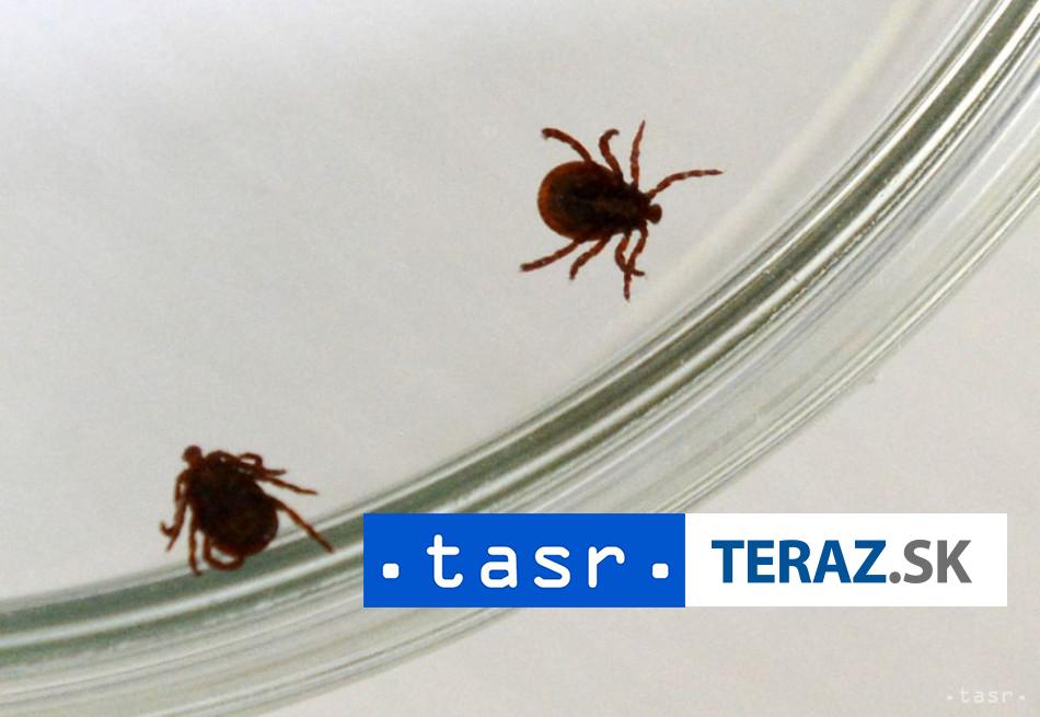 Klieste su aktivne aj na jesen pozor na to