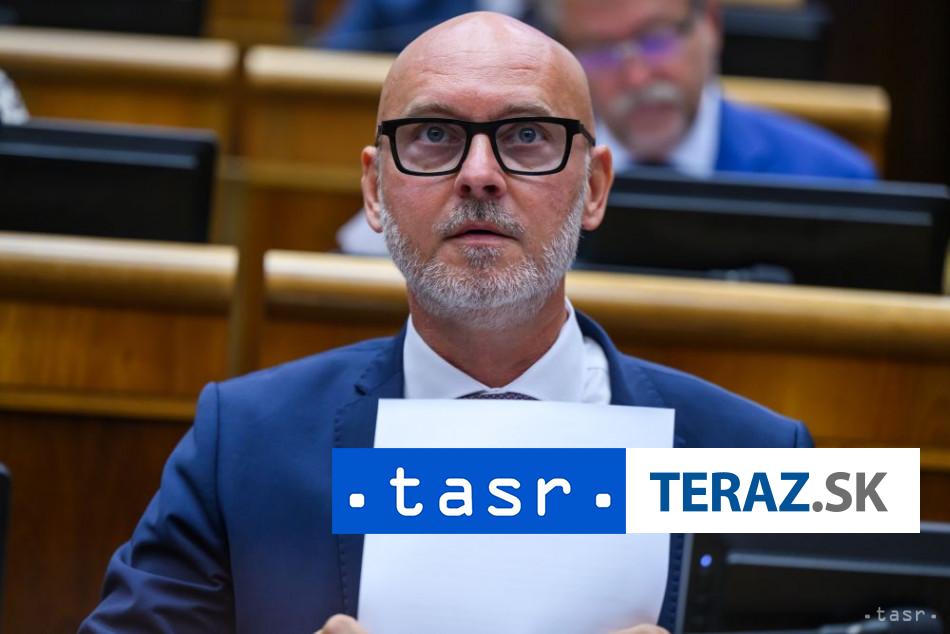 SaS Predstavena konsolidacia znici hospodarsky rast na Slovensku