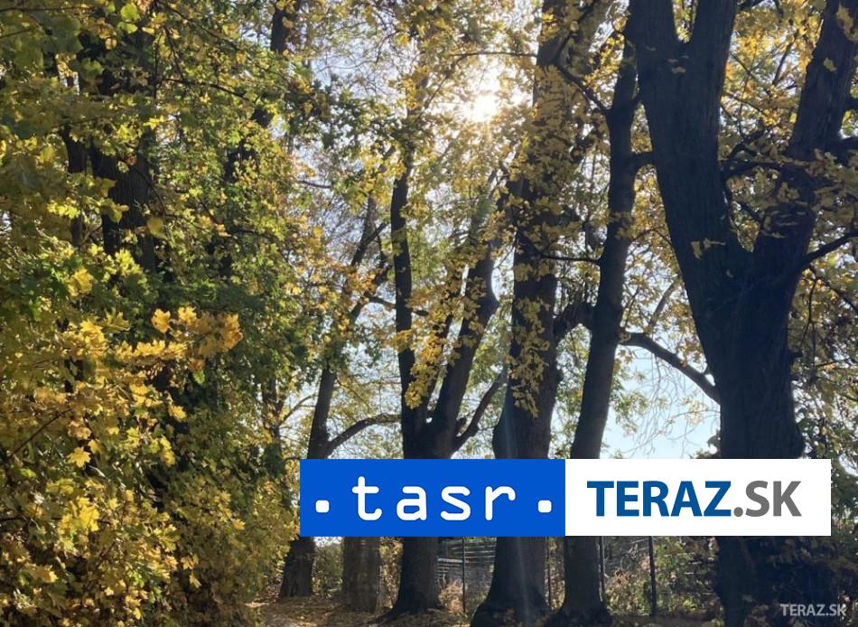 Nebezpecna huba v Bratislave ohrozuje zdravie ludi aj prirodu