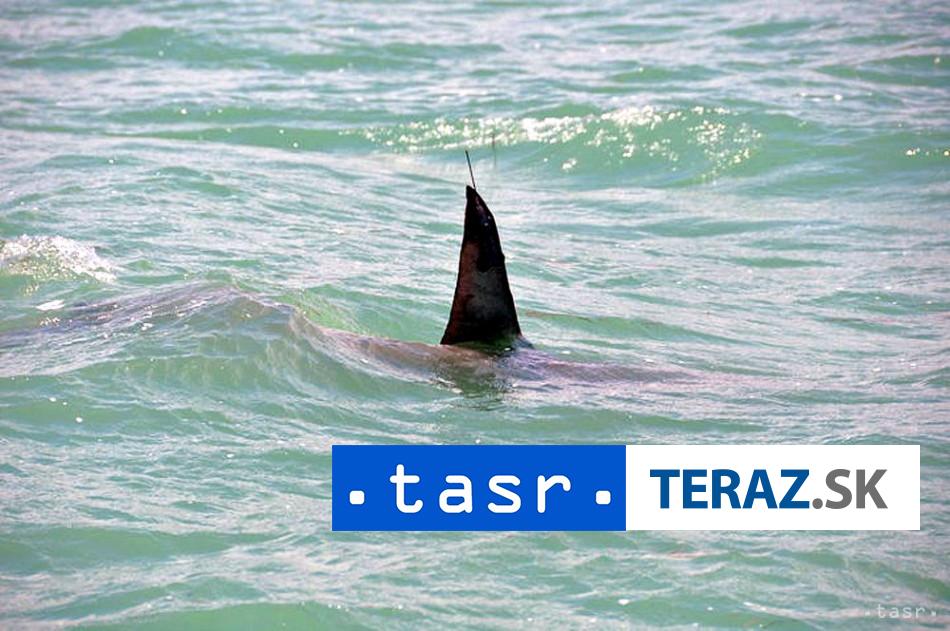 Tragicky utok zraloka Zomrela mlada zena muz tazko zraneny