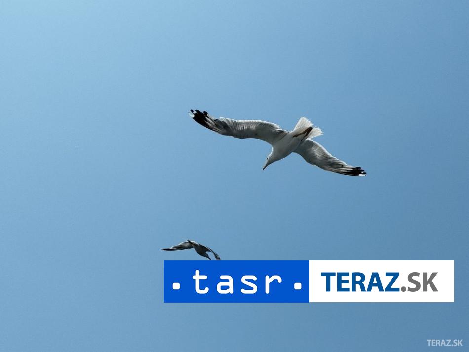 Nezvestny chlapec Zachranili 52 migrantov na pobrezi Grecka