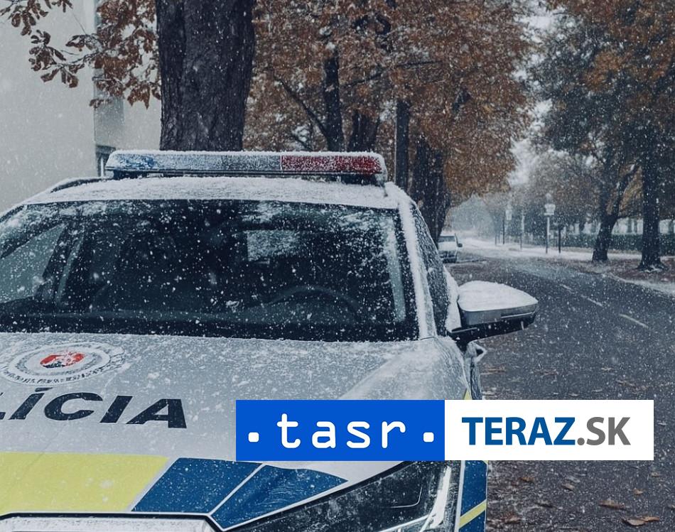 Policia riesila pocas Silvestra 2958 udalosti v Kosickom kraji