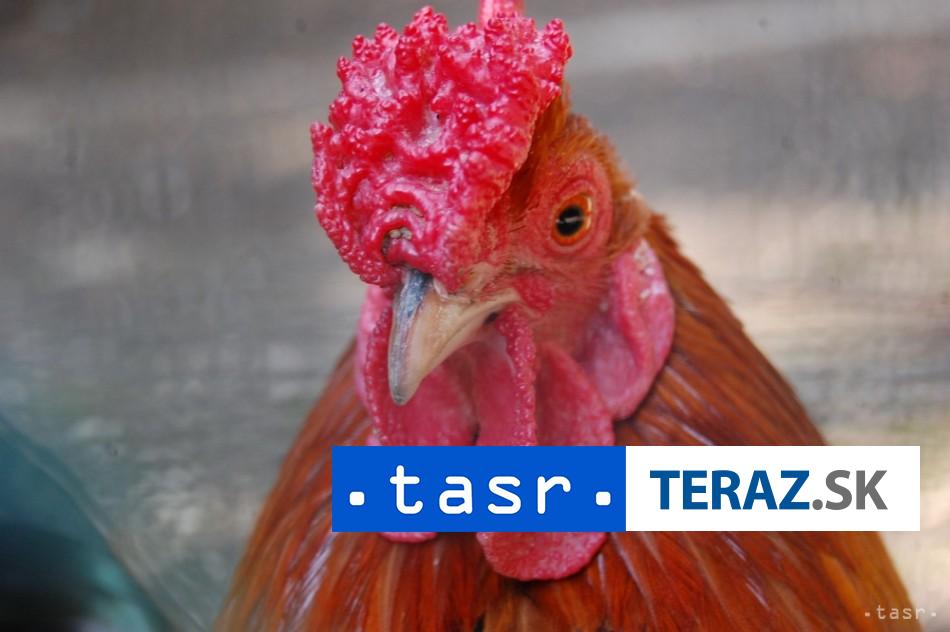 OTRAVNY KOHUT Obcan Prievidze poziadal radnicu o ochranu
