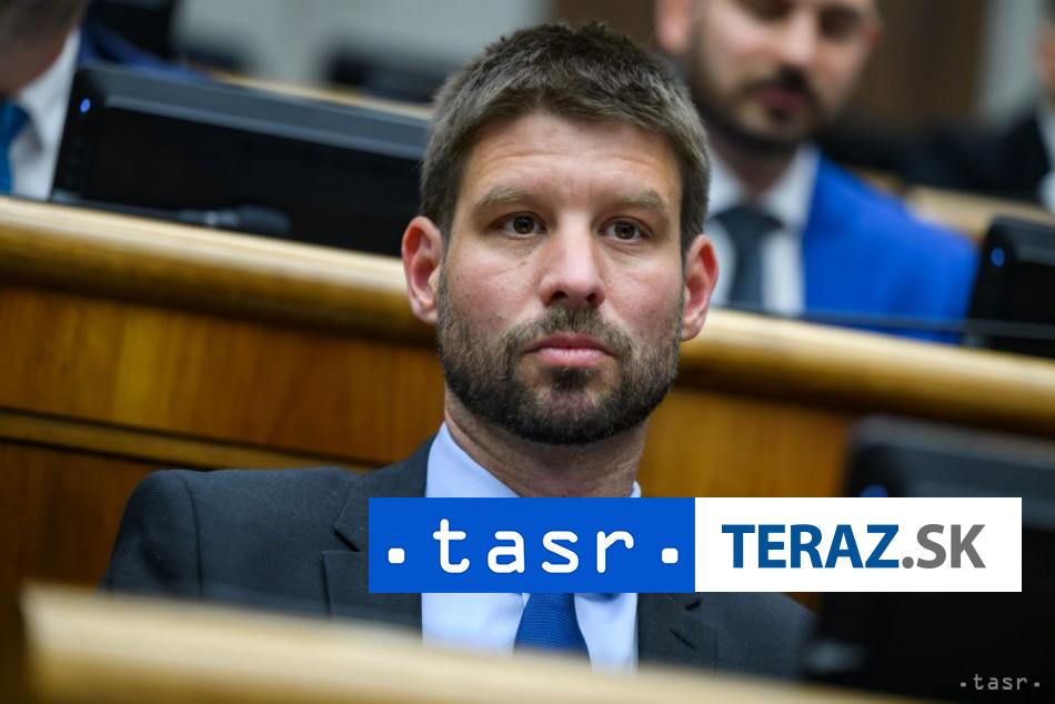 PS bude mat snem 28 marca Simecka je jediny kandidat na predsedu hnutia
