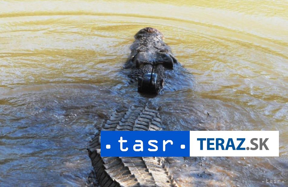 Po zaplavach v Australii predstavuje zvyseny pocet krokodilov hrozbu pre ludi