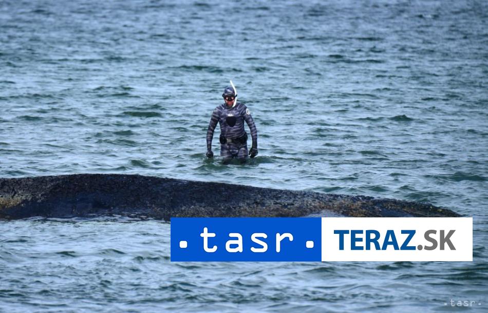 Velryba uviarla pri ostrove Walfisch