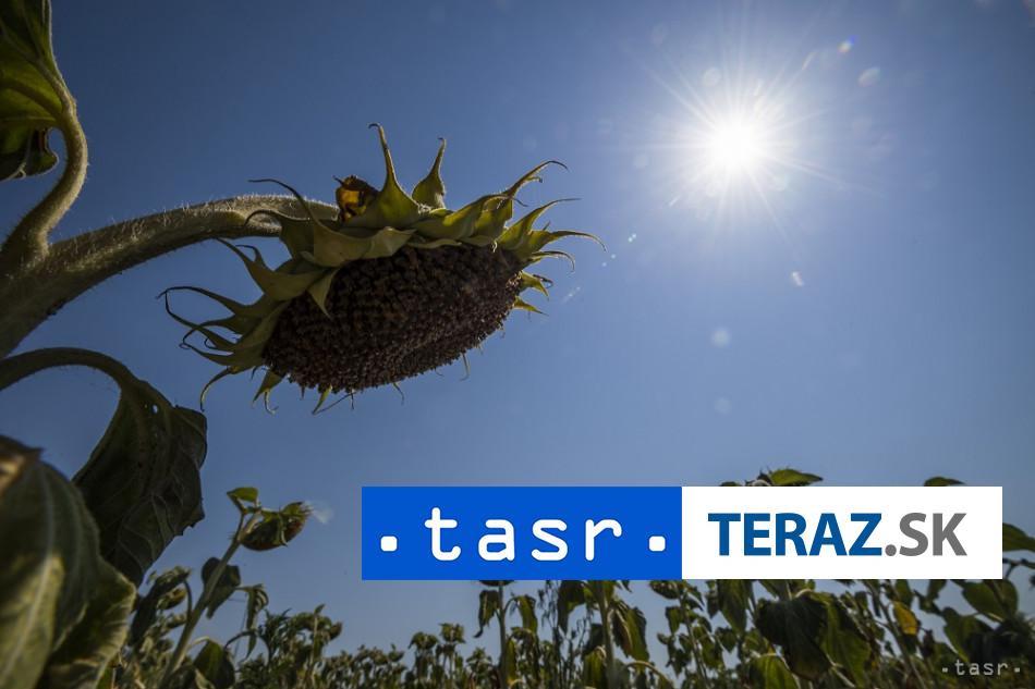 rekordne marcove teploty v arizone namerali 43 stupnov celzia