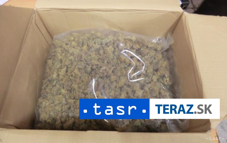 Najvacsi ulovok v historii V Riu zaistili takmer 50 ton marihuany