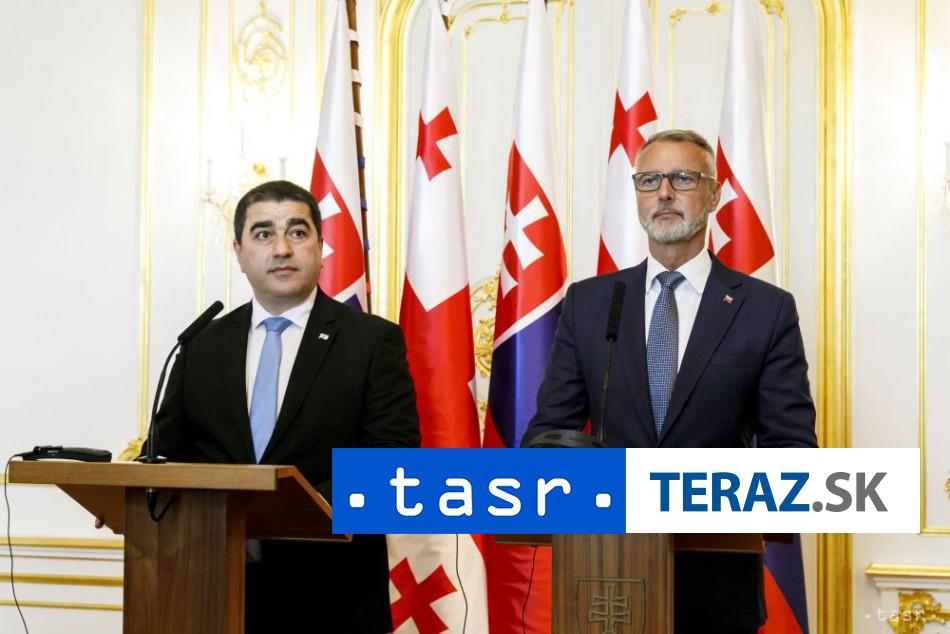Rasi a Papuasvili sa dohodli na dolezitosti parlamentneho dialogu