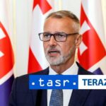 Rasi v Istanbule zdoinil ulohu parlamentov pri rozhodovani o obrane