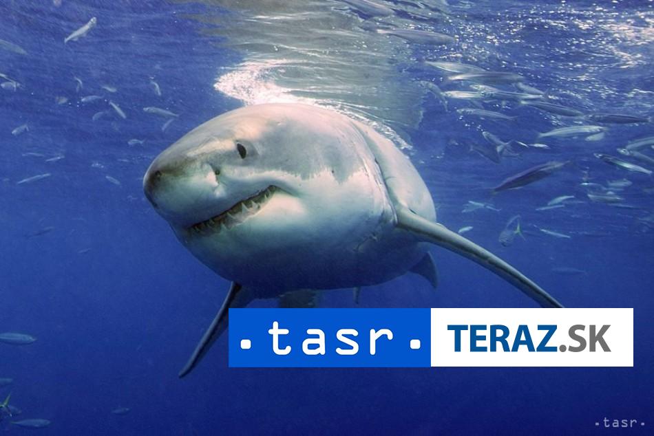 Zena je po utoku zraloka v Australii v kritickom stave