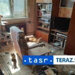 FOTO BYT PLNY HROZY V Zlatych Moravciach oslobodili 18 zvierat