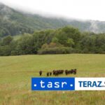 Vlada schvalila zonaciu styroch narodnych parkov
