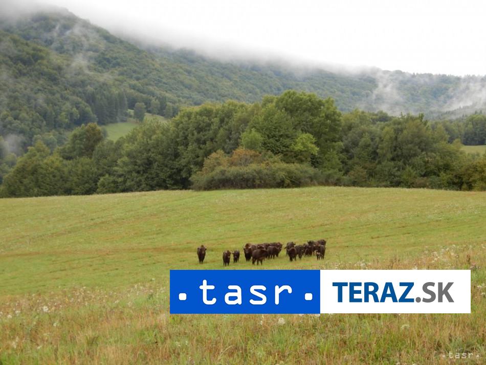 Vlada schvalila zonaciu styroch narodnych parkov