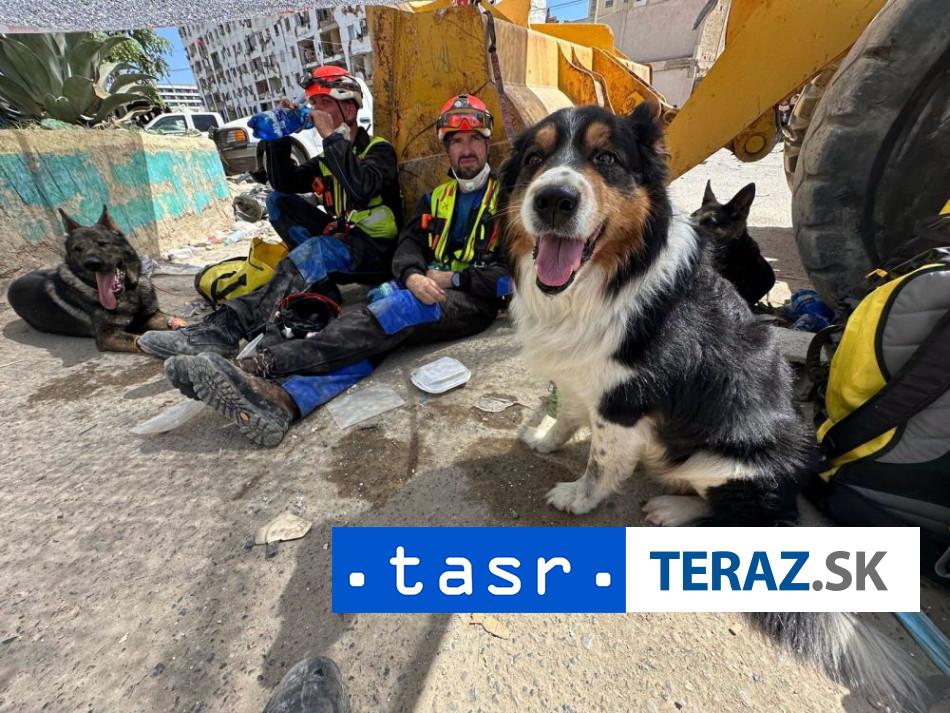 ZEMETRASENIE VO VENEZUELE Nasi zachranari so psami neustupuju