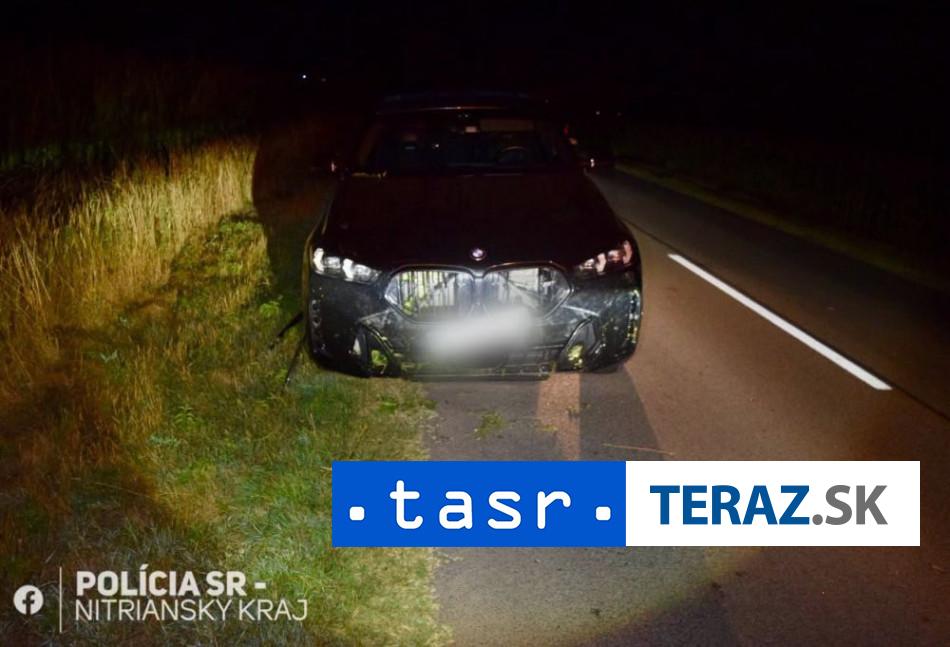 Zrazka so zverou Tinedzer sa dostal do velkych problemov