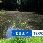 zachrana ryb pred teplom na strednom povazi sa zaviedli opatrenia