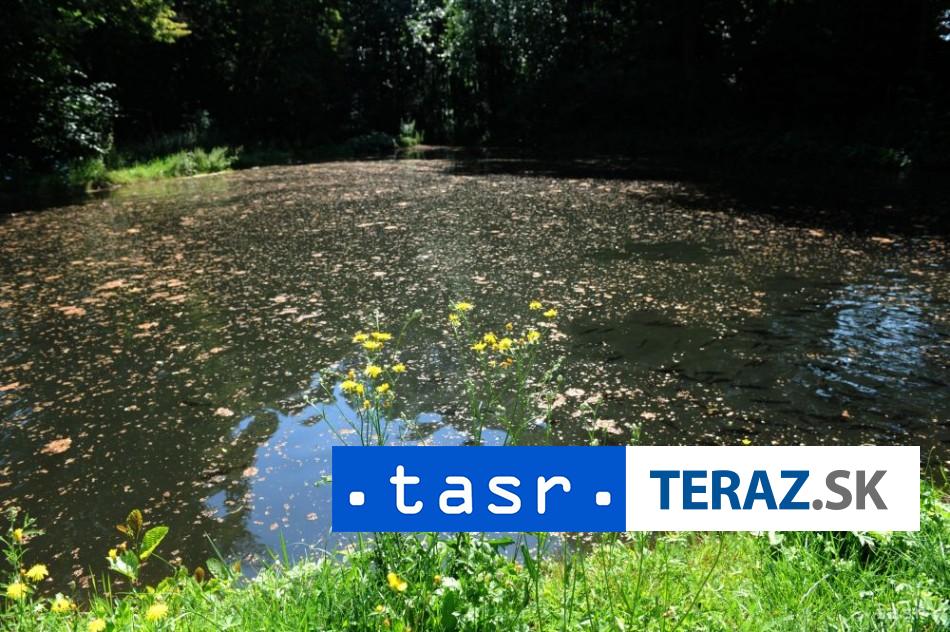 ZÁCHRANA RÝB PRED TEPLOM: Na strednom Považí sa zaviedli opatrenia 2 zachrana ryb pred teplom na strednom povazi sa zaviedli opatrenia