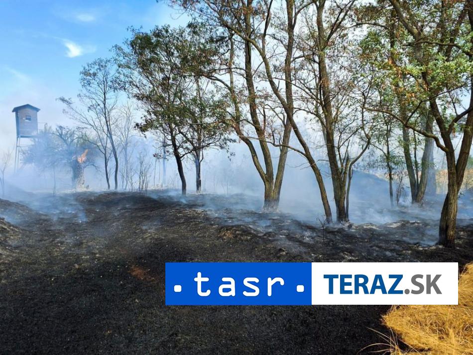 POZAR LESA HASICI ZASAHUJU V KATASTRI OBCE MORAVSKY SVETY JAN