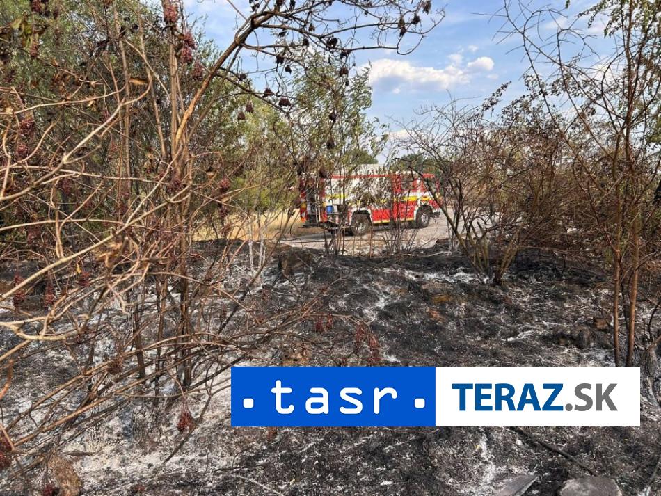 POŽIAR PRI LEVICIACH: Plamene sa rozšírili na suchý porast a odpadky 2 POZIAR PRI LEVICIACH Plamene sa rozsrili na suchy porast a odpadky
