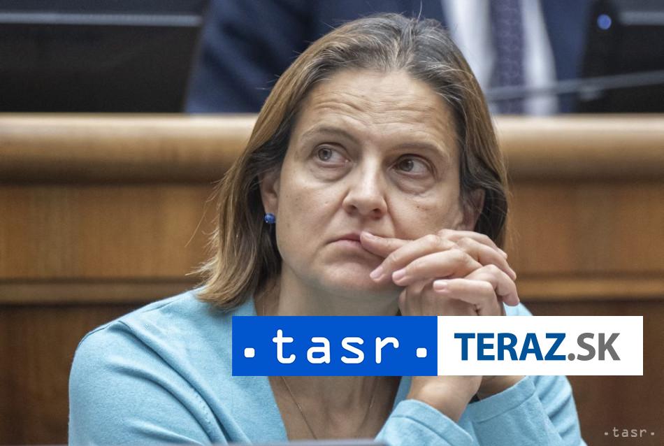 SaS T Gaspar mohol byt v konflikte zaujmov pri trestnej novele