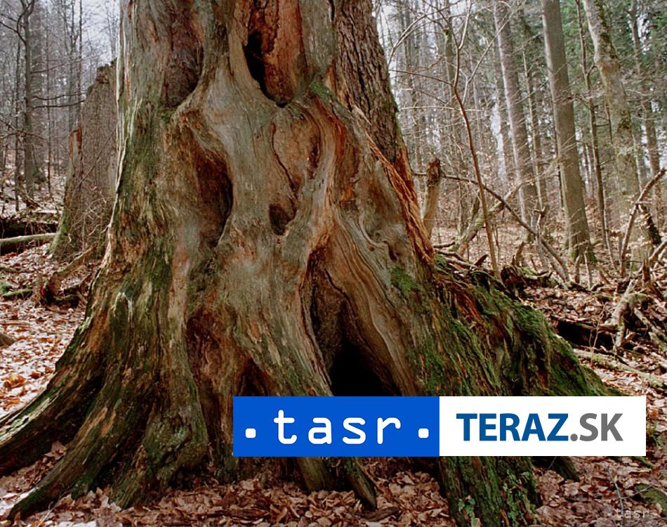 WWF Slovensko: Ročné zdroje Zeme spotrebovali ľudia za sedem mesiacov 2 WWF Slovensko Rocne zdroje Zeme spotrebovali ludia za sedem mesiacov